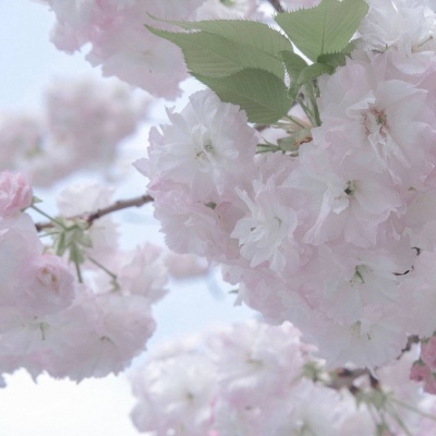 Furry绘画构图指南福瑞交流群